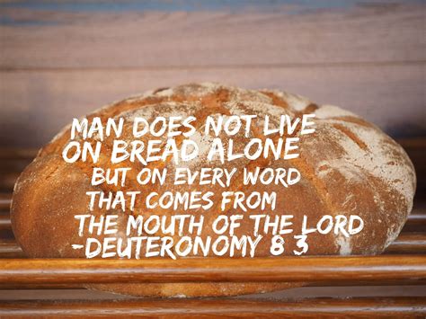 Not by bread alone - Not by Bread Alone. “And he humbled thee, and suffered thee to hunger, and fed thee with manna, which thou knewest not, neither did thy fathers know; that he might make thee know that man doth not live by bread only, but by every word that proceedeth out of the mouth of the LORD doth man live.”. Deuteronomy 8:3.